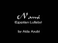 Aida Al Ayoubi - Nami