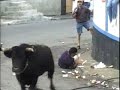 Toiros & Marradas (A�ores)
