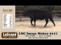 lot 51 0117f