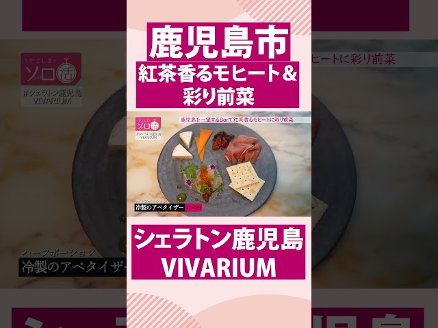 【鹿児島市高麗町】紅茶香るモヒート＆彩り前菜「VIVARIUM」