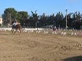 Dan & Moi 1er Concour Dressage Sabretache Dan & Moi 1er Concour Dressage Sabretache
