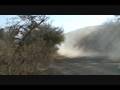 videos de resumen wrc.wmv