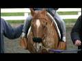 videos de Wednesday's Child - David