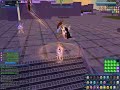CoH PvP randoms CoH PvP randoms