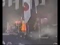 thegathering- nighttime birds