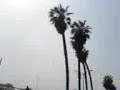 nike 10k 2007   part 16