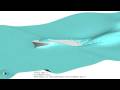 Slamming and Seakeeping simulation of an yacht with CFD