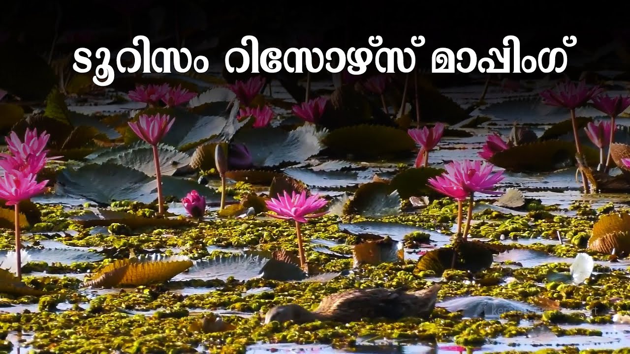 ടൂറിസം റിസോഴ്‌സ് മാപ്പിംഗ്