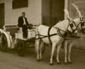 Fratellidaidone.com - Carrozze