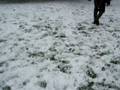 videos de Pidou dans la neige