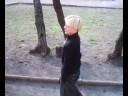 ´pole macht salto  ja der pole