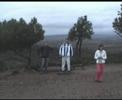 los fraguelos
