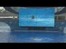 Shamu y La Ciencia de Hacerse Rico - Wallace D. Wattles Shamu y La Ciencia de Hacerse Rico - Wallace D. Wattles