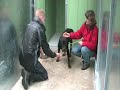 Charley needs a home