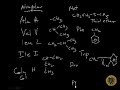 Amino Acids