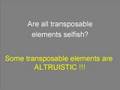 Transposons 5