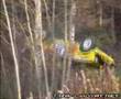 8.10.2005 Kaakkoisralli, Kotka [F-Cup]