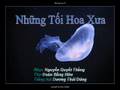 Những Tối Hoa Xưa - Du Ca Nguyễn Quyết Thắng