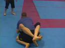Brazilian Jiu Jitsu no gi tournament