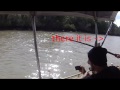 Click here to watch this video Crocs Fighting