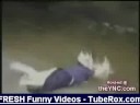 Funny Home Accidents Mix