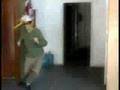 videos de GorroPollo