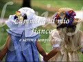 Amicizia