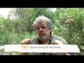videos de Steve Parish Photography Tips