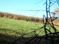 extereme trail riding