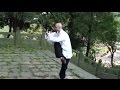 武当太乙逍遥掌Wudang Tai Yi Xiao Yao Zhang Ismet Himmet