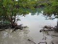 Gilligans Island - Puerto Rico