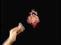 Someday You Will Be Loved - Death Cab for Cutie Someday You Will Be Loved - Death Cab for Cutie