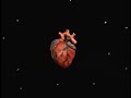 Someday You Will Be Loved - Death Cab for Cutie