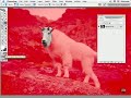 photoshop-tutorial-removing-unwanted-elements.html