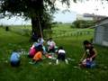 LA FIESTA MAS PERRONA DE MARSHALLTOWN IOWA
