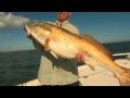 Bulls of Venice - North American Fisherman 2013 SHOW 13 TRAILER