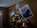 Happy Holidays from David Slocombe.  I am The King of Cubicles part II