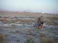 Afgani Attack Dog training gets out of hand