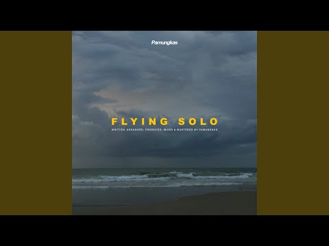 Flying Solo