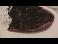Pizza Sodebo Pizza Sodebo
