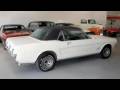 1966 Mustang for Sale only 00!!!!