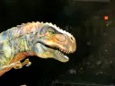 Walking With the Dinosaurs 26
