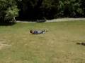 roll down hill 2