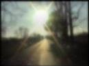 M. Ward: 1. End of Amnesia