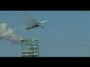 Tupuxuara 7-5 Pterosaur RC Ornithopter