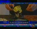 Rather Expensive Ice Cream Sundae Rather Expensive Ice Cream Sundae