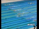 Icaro Tv. Olimpiadi in Romagna nel 2020, parte la sfida Icaro Tv. Olimpiadi in Romagna nel 2020, parte la sfida