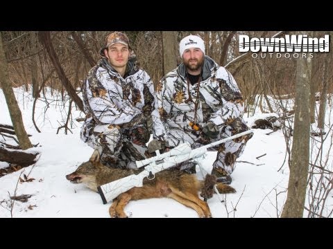 Eastern Coyote Hunting: Fog Dog (DownWind Outdoors)