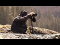 Bear Hunting Trips in Alaska by Parker Guide Service