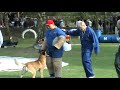NVBK Championship Cat3 2008
